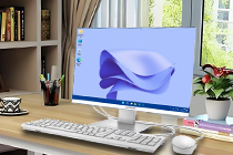 【月伴流星】Windows11_25H2_x64 极限精简专业版+专工版2026.03