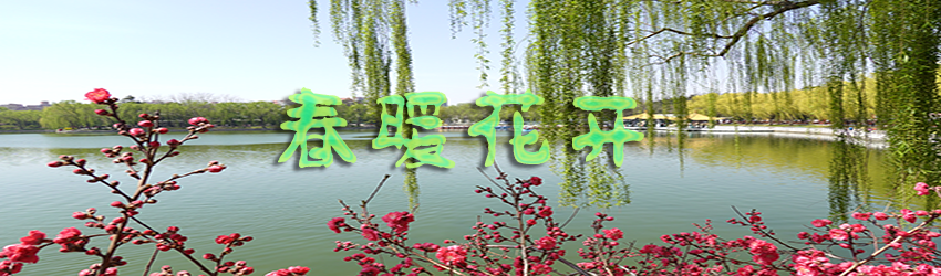 春暖花开
